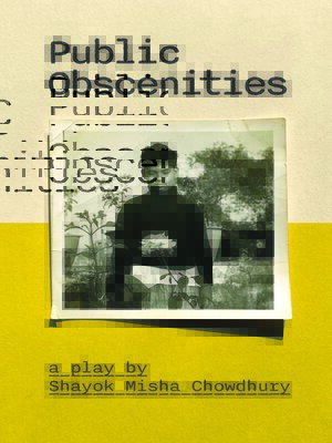 cover image of Public Obscenities